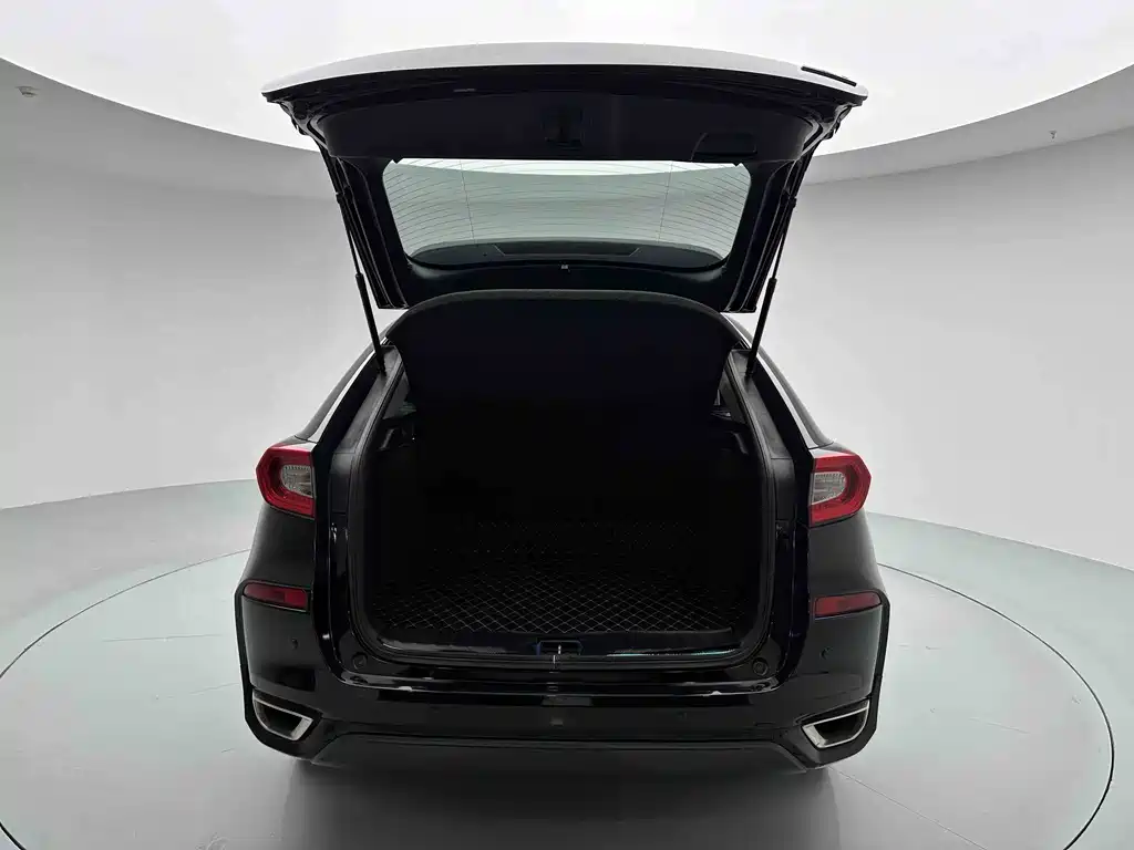 Honda Avancier — миниатюра 9
