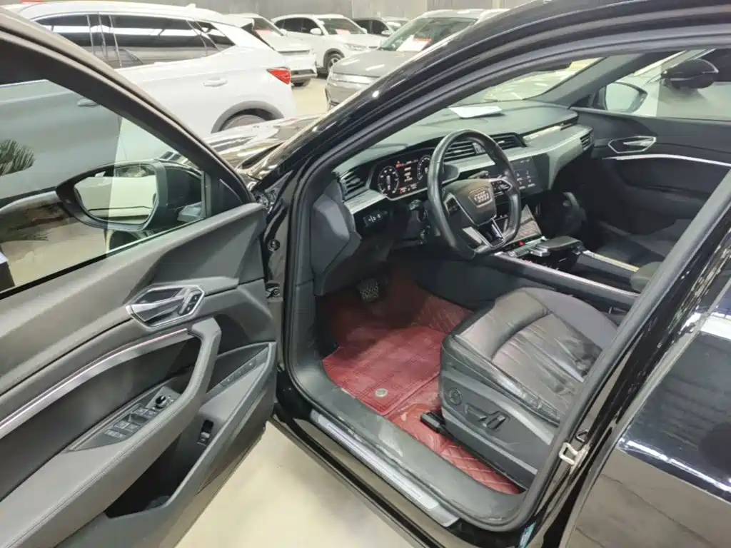 Audi e-tron (Import) — миниатюра 16