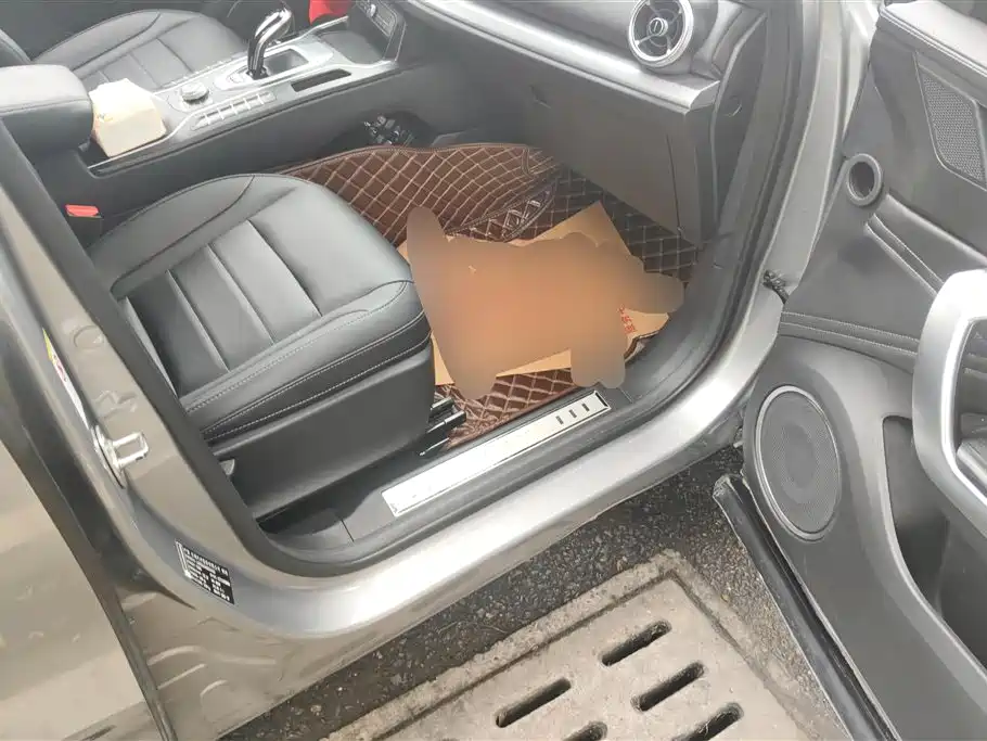 WEI PAI WEI BRAND VV5