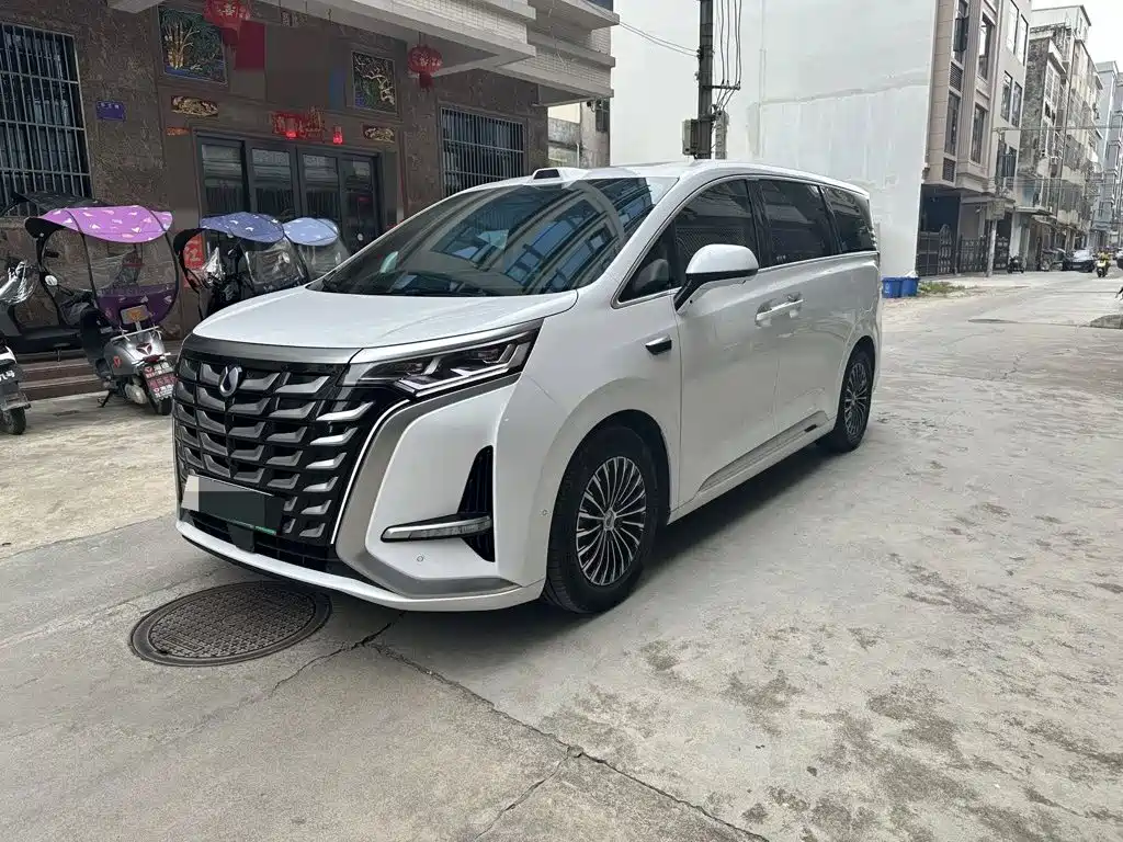 Denza D9