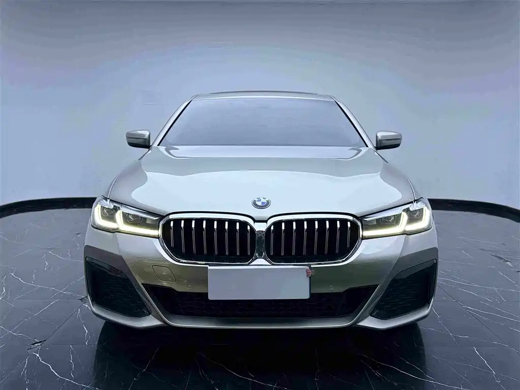 BMW 5 Series 5 2018 528Li