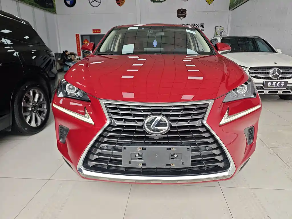 LEXUS NX