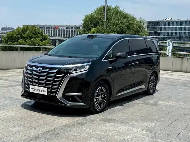 2025 Denza D9