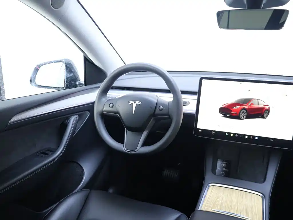 Tesla Model Y — миниатюра 14