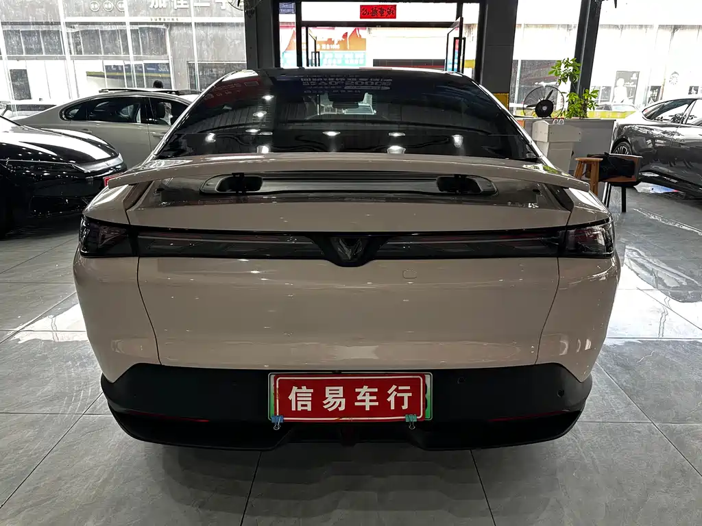 ARCFOX EXTREME FOX POLAR FOX ALPHA S5