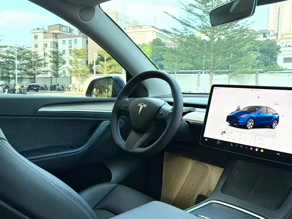 Tesla Model Y — миниатюра 15