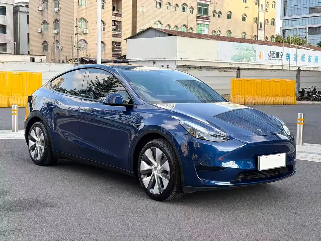 Tesla Model Y — миниатюра 3