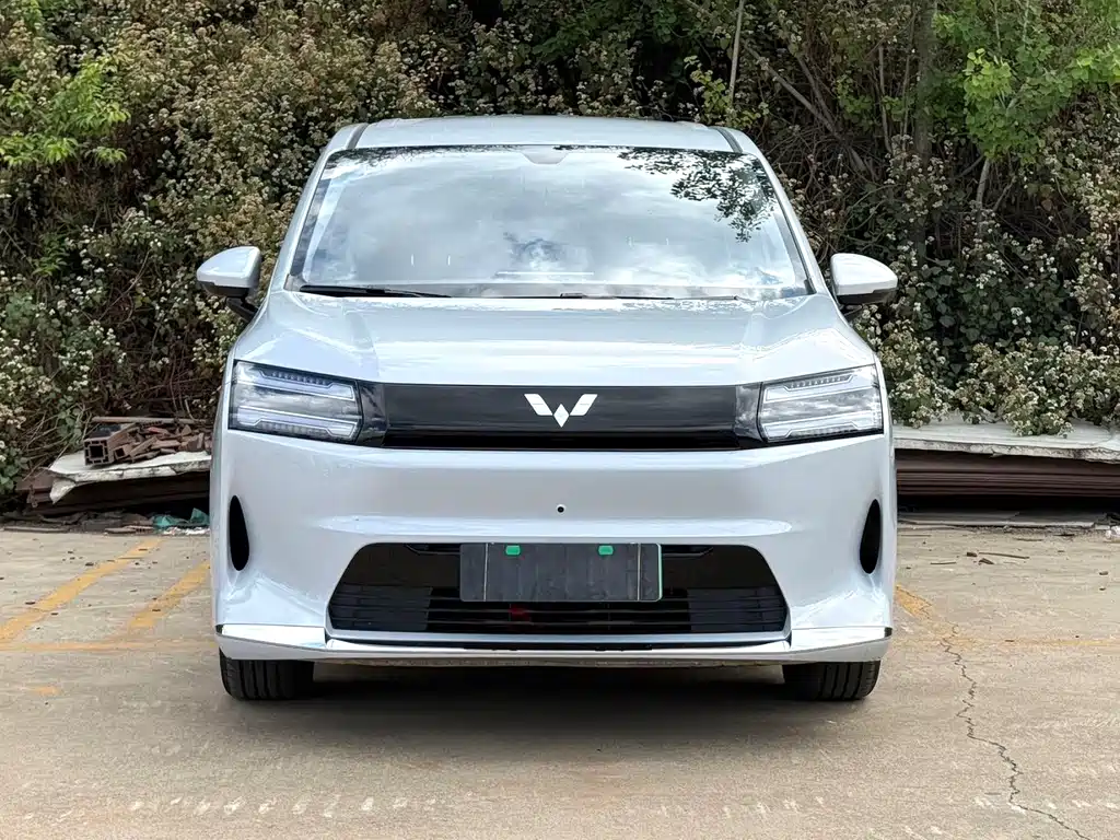 Wuling 730 2025 500km Luxury