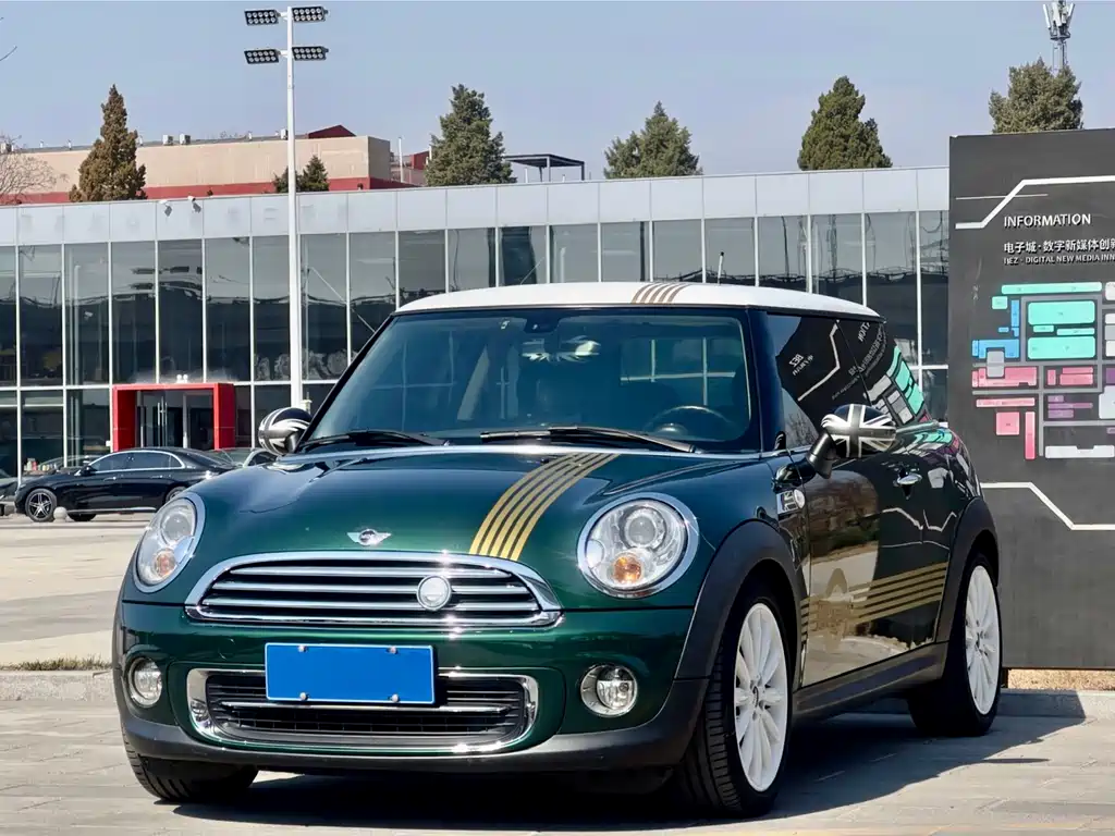 Mini Mini 2013