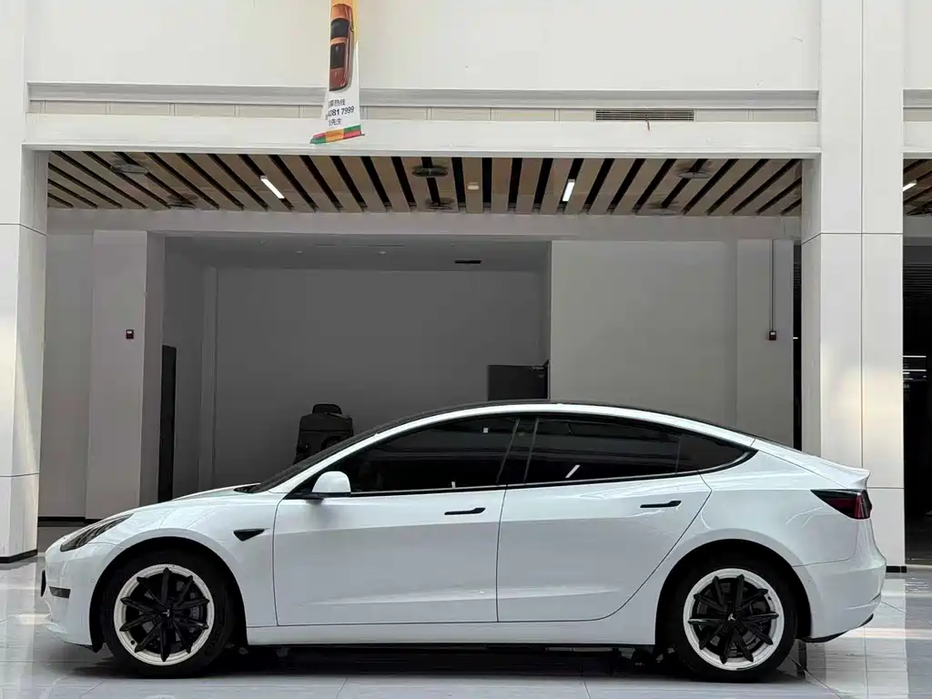 Tesla Model 3 2021 3D6