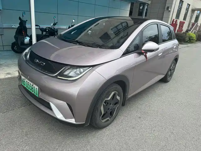 2022 BYD Dolphin