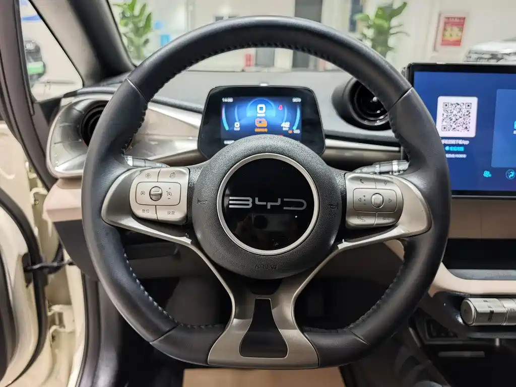 BYD Dolphin 2023 420km Freedom