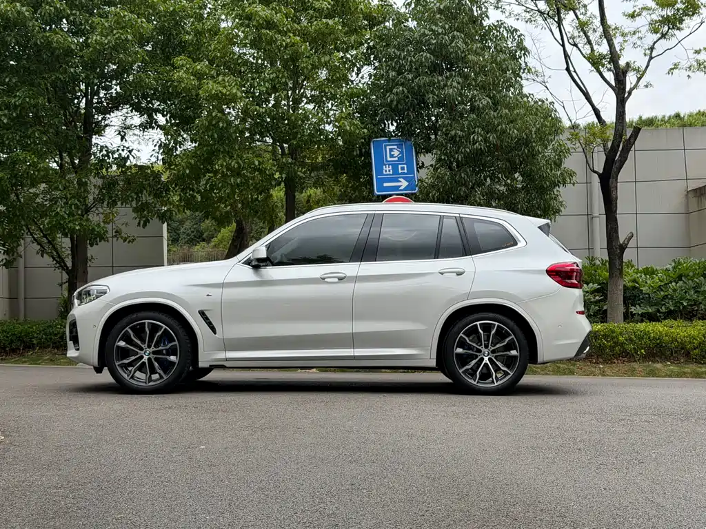 BMW X3 2020 xDrive30i Lead M Sport