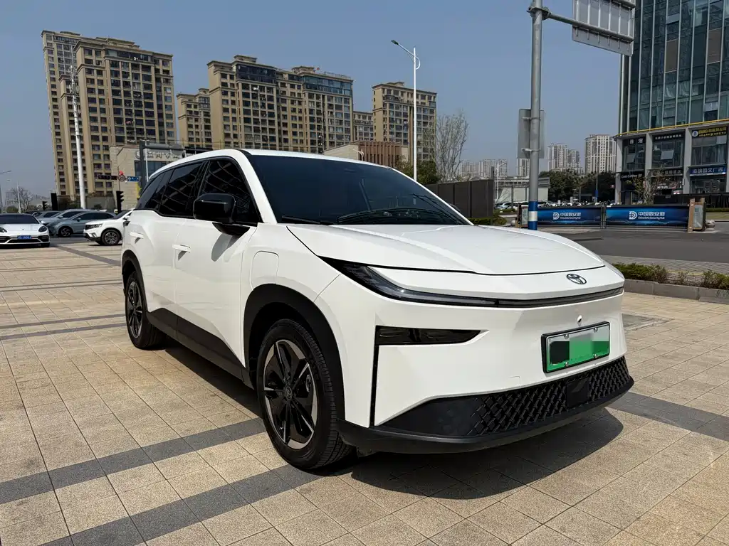 TOYOTA PLATINUM WISDOM 3X