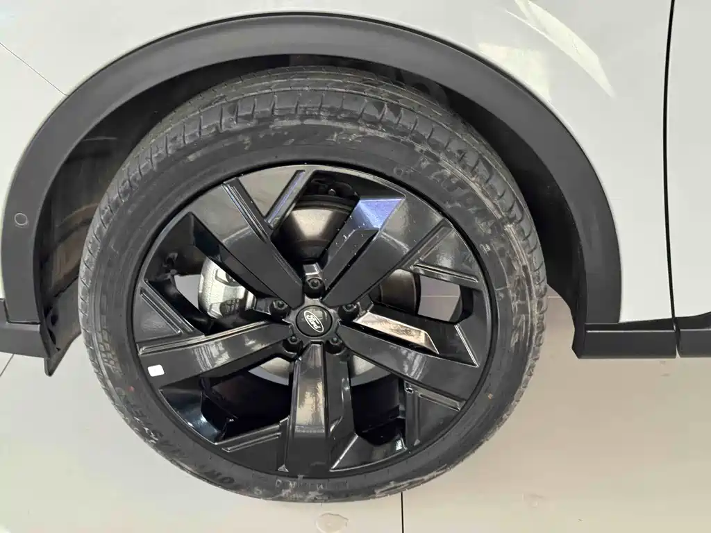 FORD LINGRUI NEW ENERGY