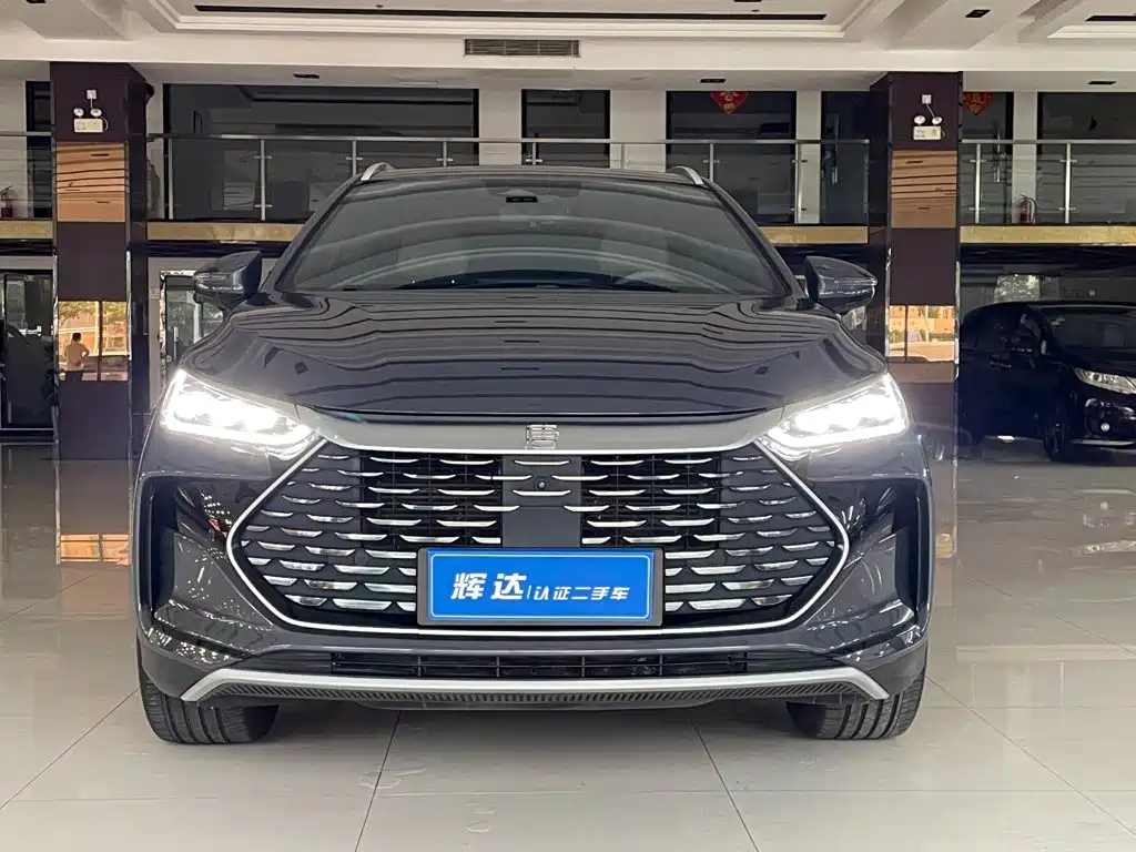 BYD Tang New Energy — миниатюра 2