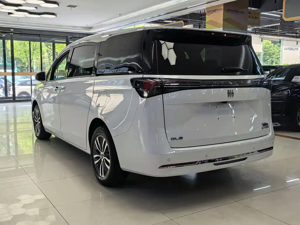 Buick GL8 Land Business Class First Enjoy Edition, фото 9