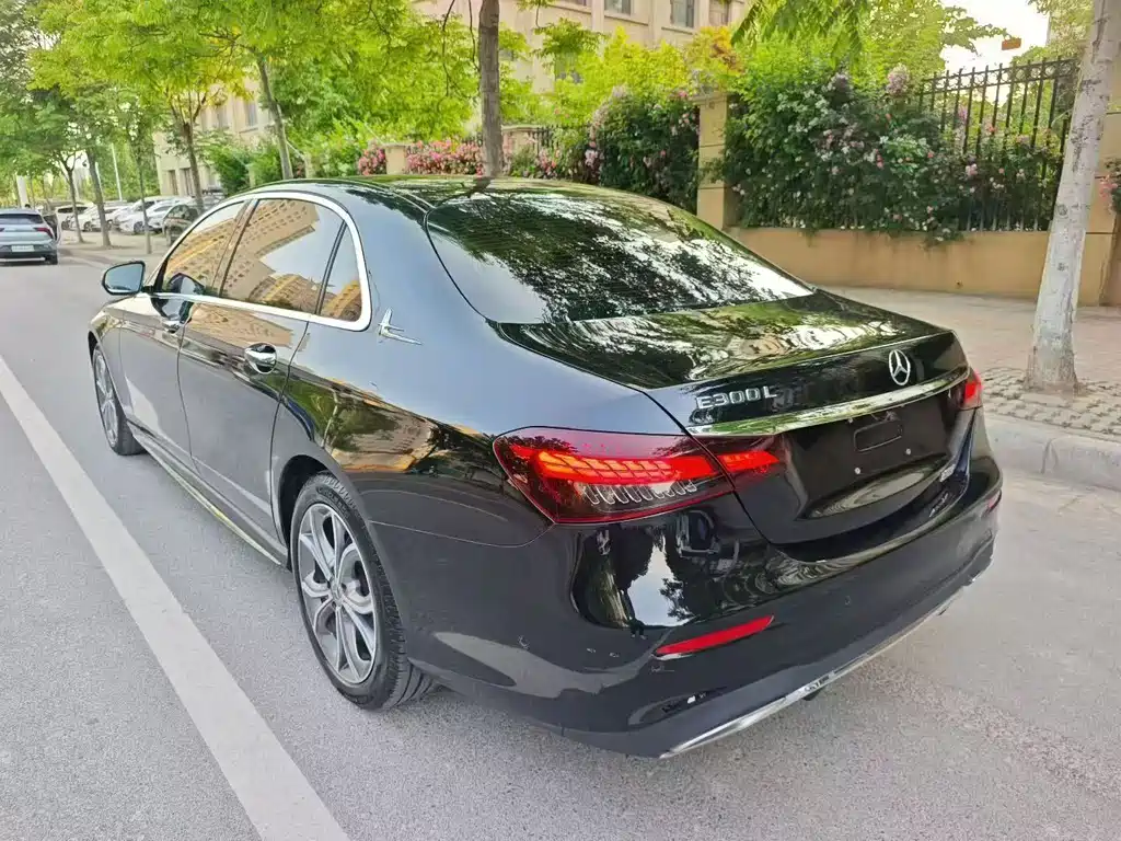 Mercedes-Benz E-Class E 300 L Sport Luxury Type, фото 6