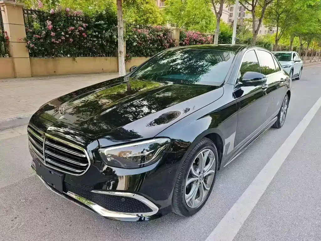 Mercedes-Benz E-Class E 300 L Sport Luxury Type, фото 3