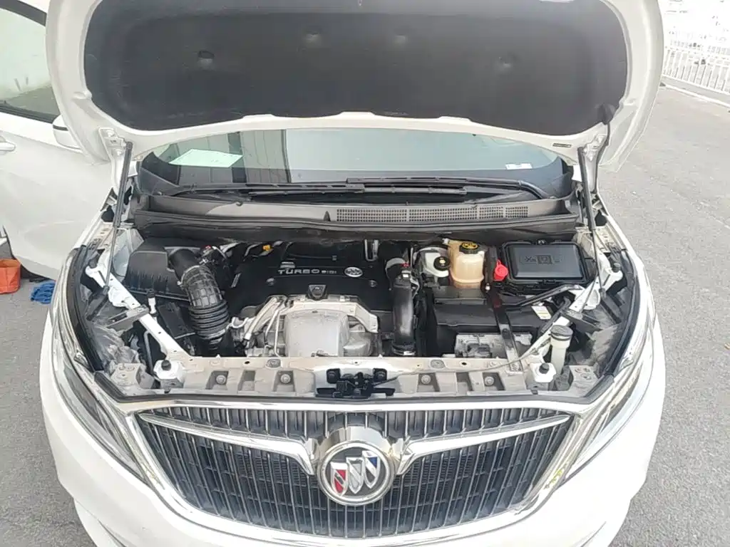 Buick GL8 — миниатюра 20