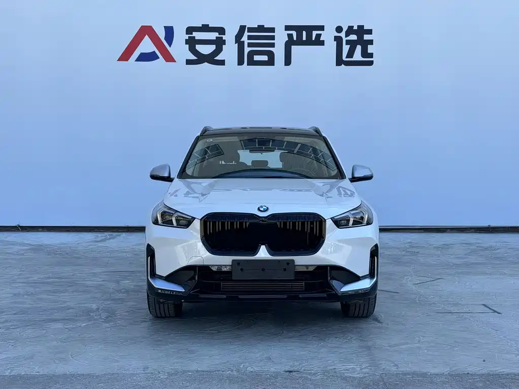 BMW X1 — миниатюра 2