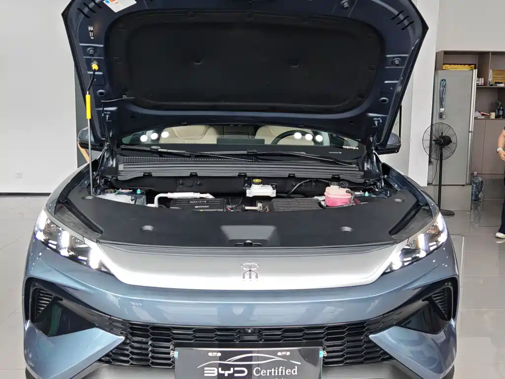 BYD Pro New Energy - фото 6
