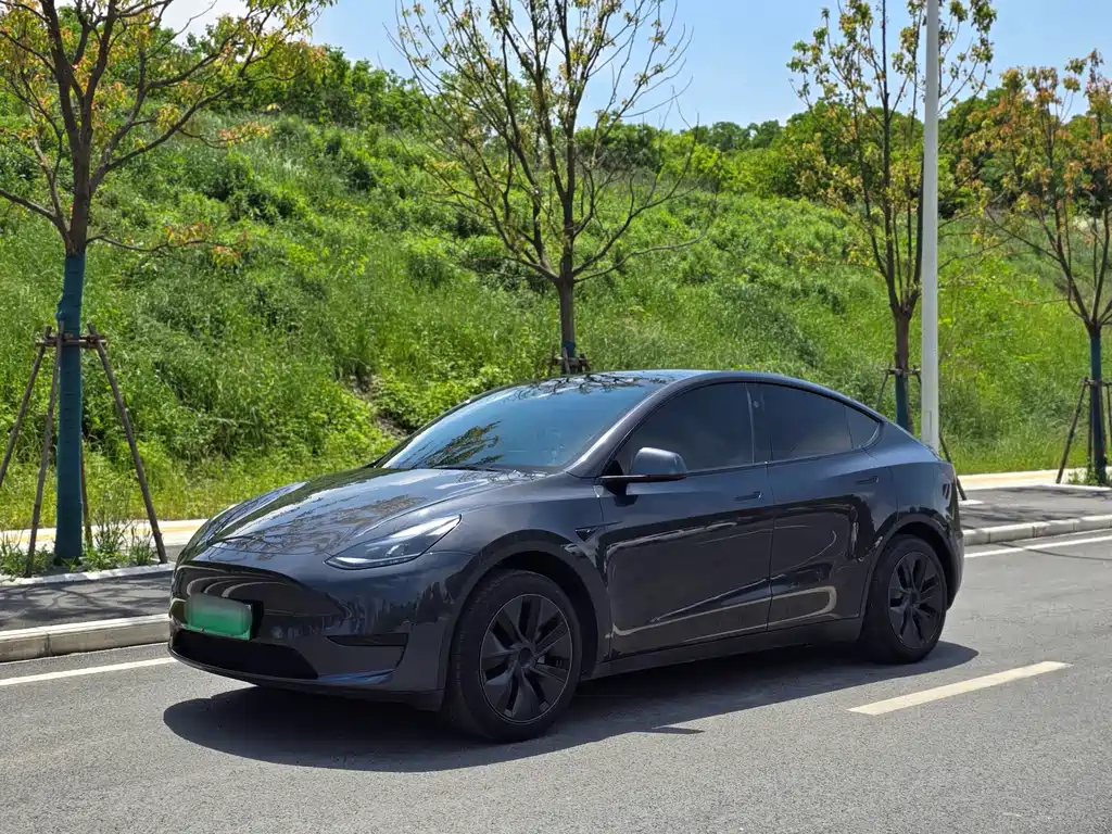 Tesla Model Y 2024 RWD Drive Dynamic Edition