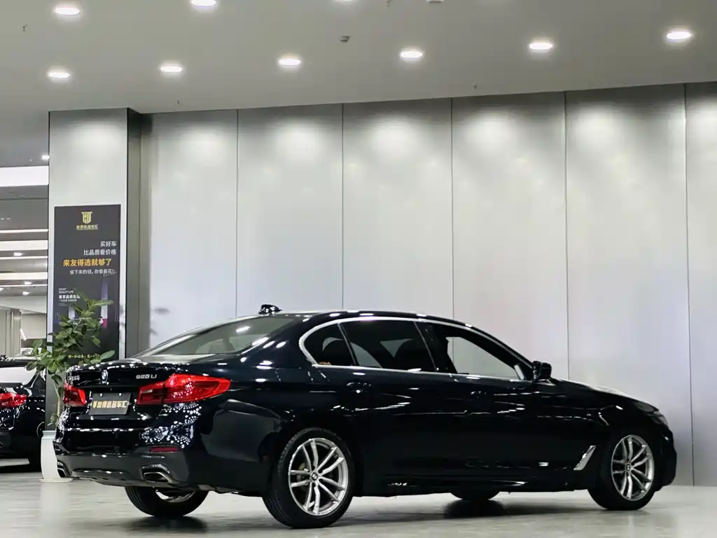 BMW 5 SERIES