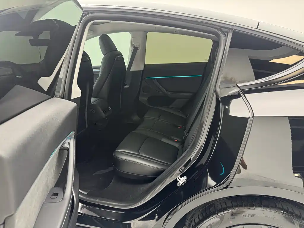 Tesla Model Y — миниатюра 13