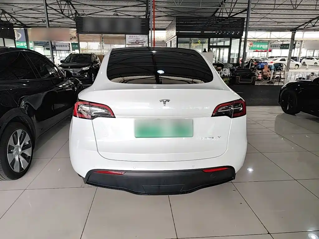 Tesla Model Y — миниатюра 6