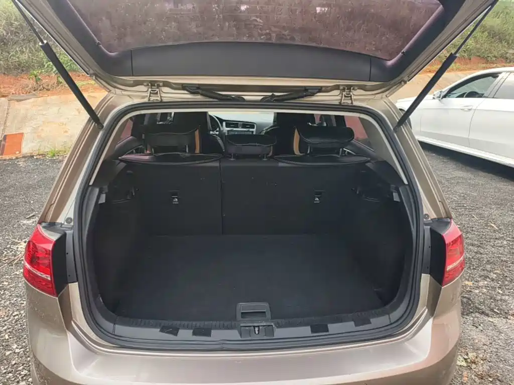Volkswagen Golf — миниатюра 19