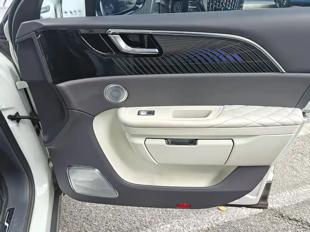 Hongqi Hongqi E-HS9 — миниатюра 7