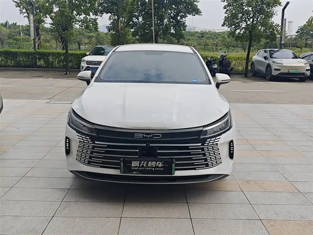BYD Destroyer 05 — миниатюра 2