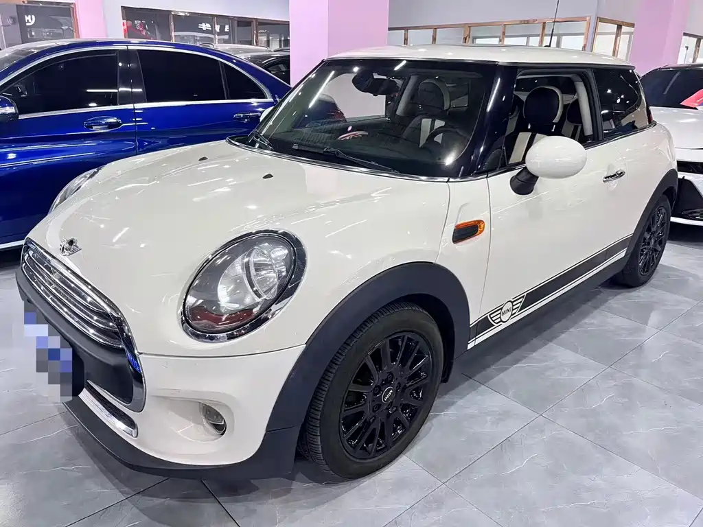 Mini Mini 2018