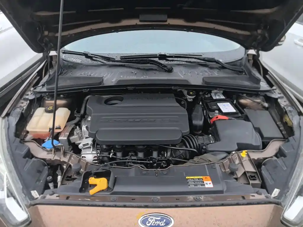 Ford Escort — миниатюра 20