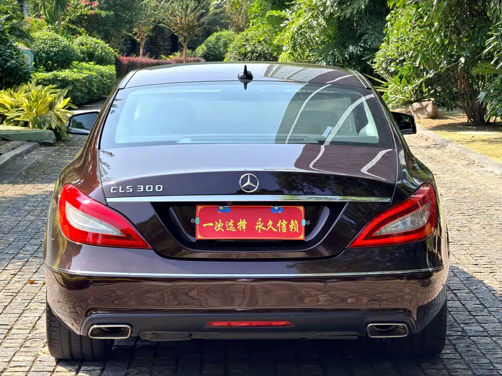 Mercedes-Benz CLS — миниатюра 22