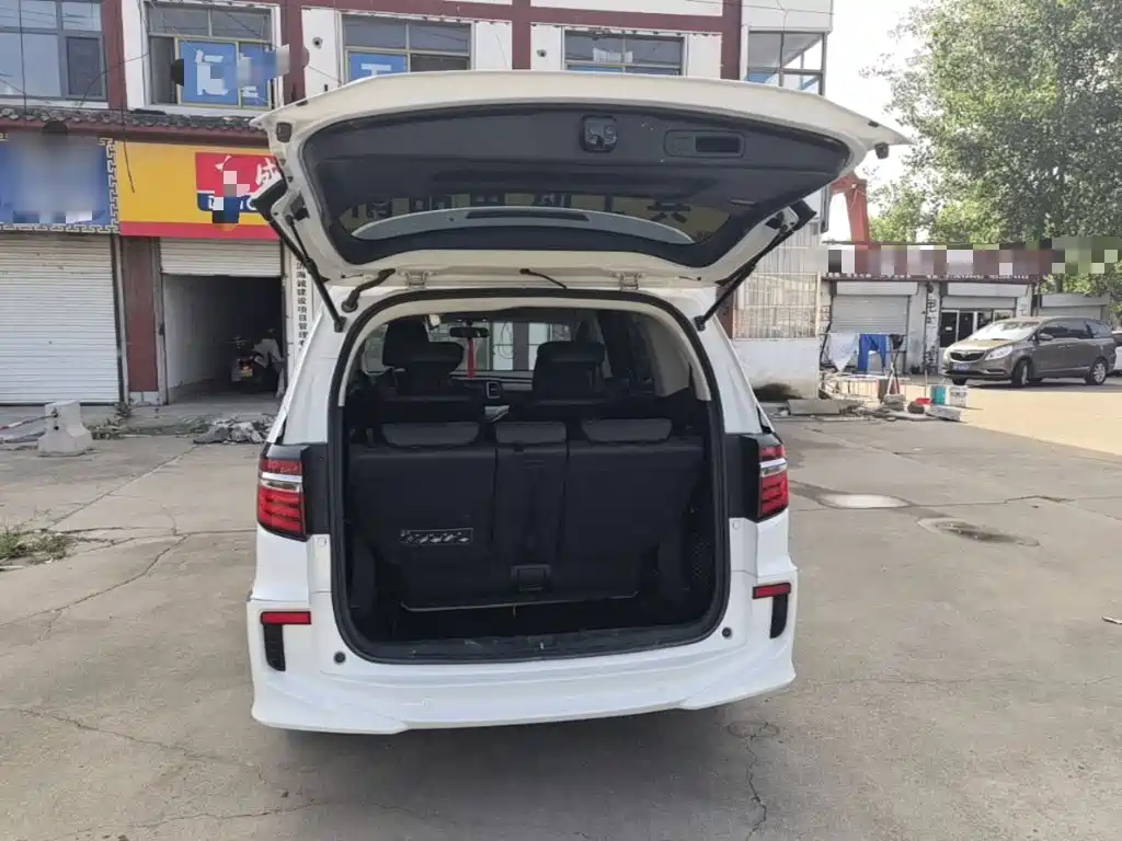 Honda Elysion — миниатюра 19