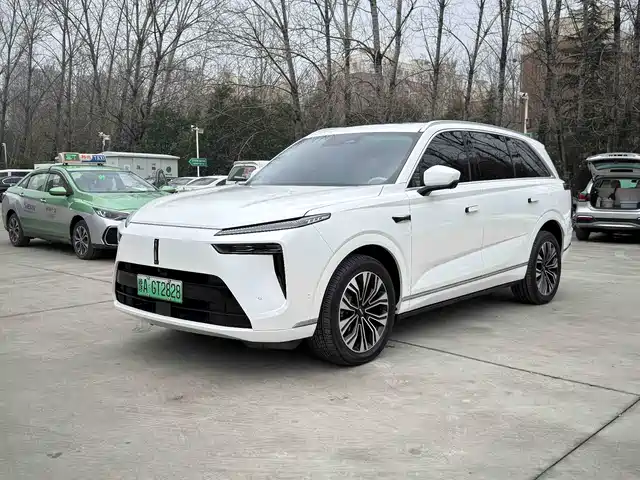 WEI PAI WEI BRAND BLUE MOUNTAIN 2024