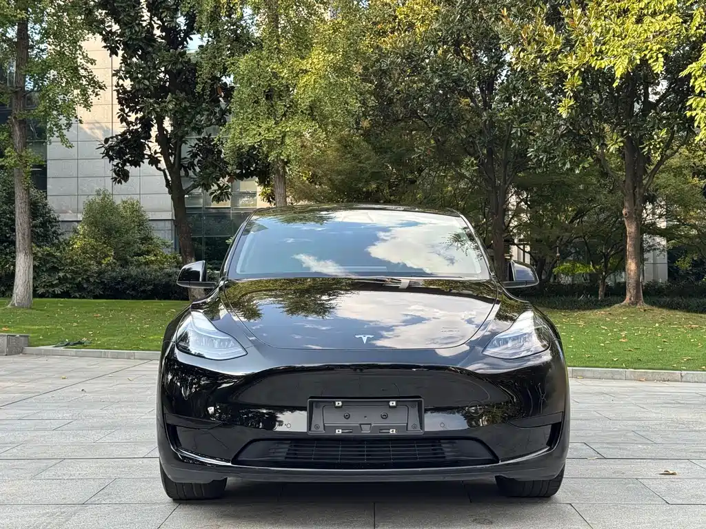 Tesla Model Y — фотографии объявления, Фото 3