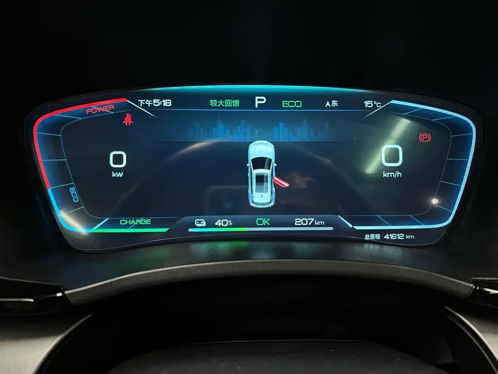 BYD SONGJIANG NEW ENERGY