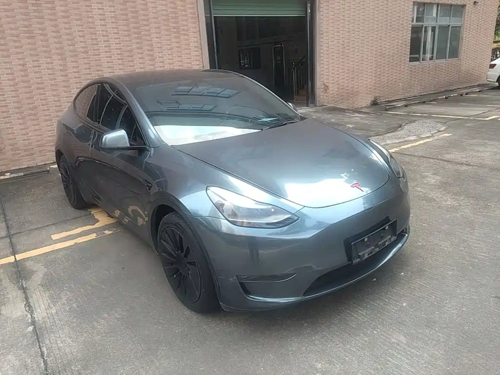 Tesla Model Y — миниатюра 4
