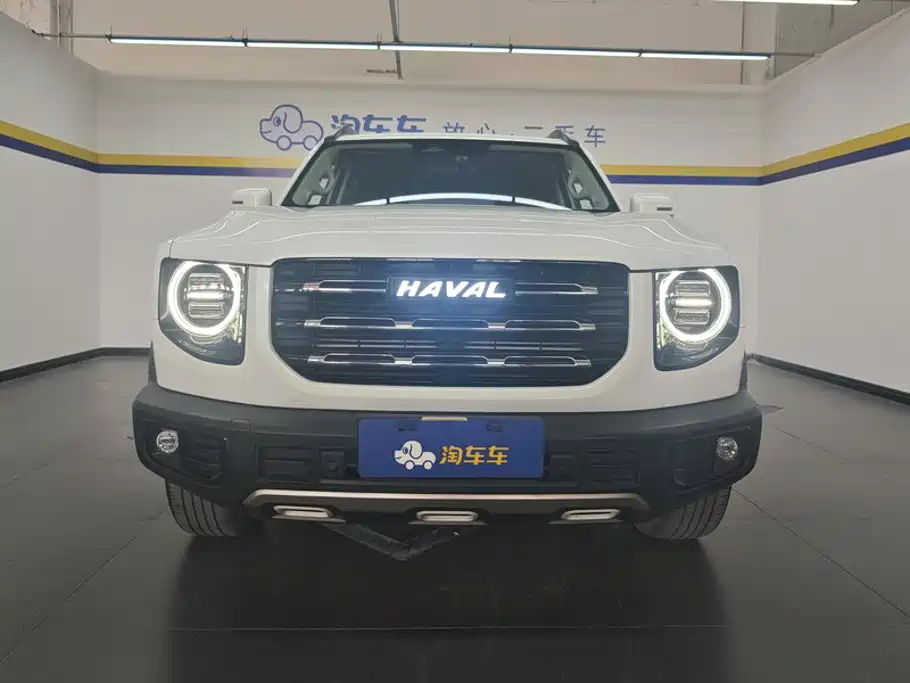 Haval Big Dog — миниатюра 2