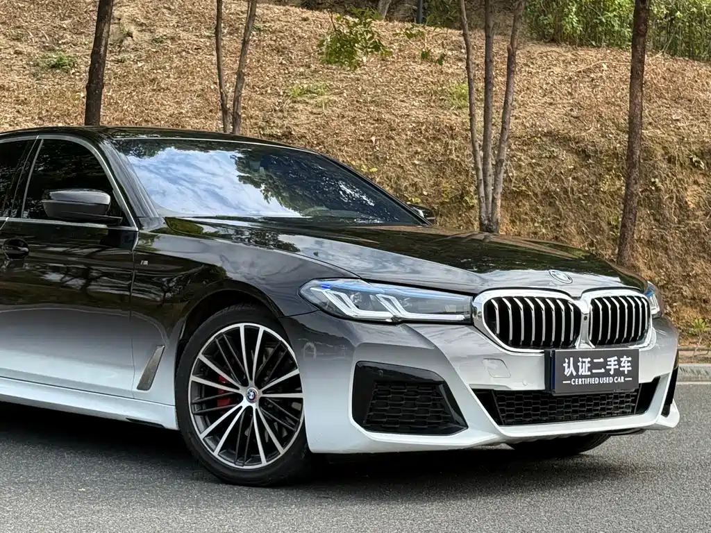BMW 5 SERIES