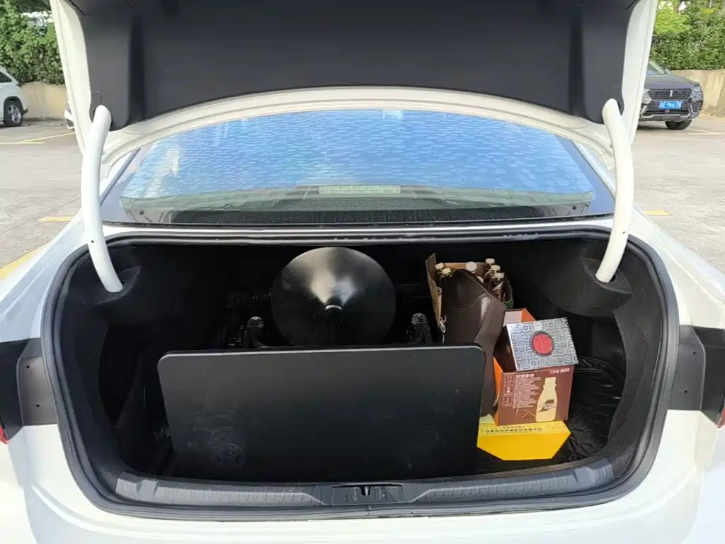 Volkswagen Lamando — миниатюра 19