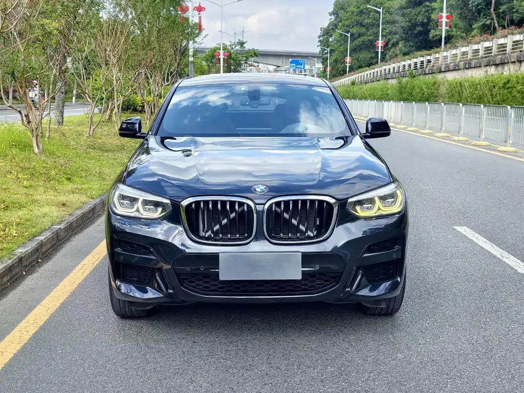 BMW X4 — миниатюра 2