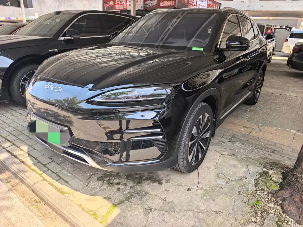 Byd PLUS New Energy 2024