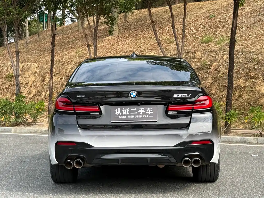 BMW 5 SERIES