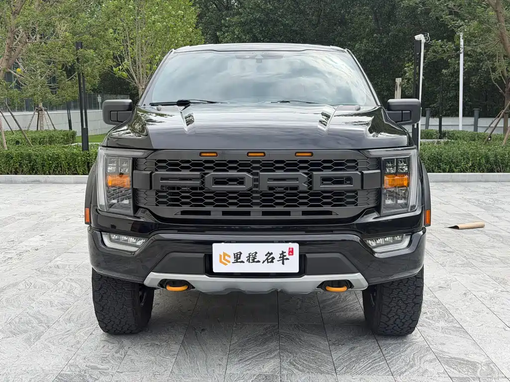 Ford F-150 Raptor — миниатюра 2