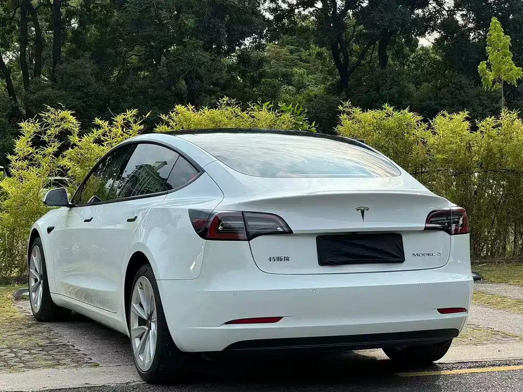 Tesla Model 3 — миниатюра 6