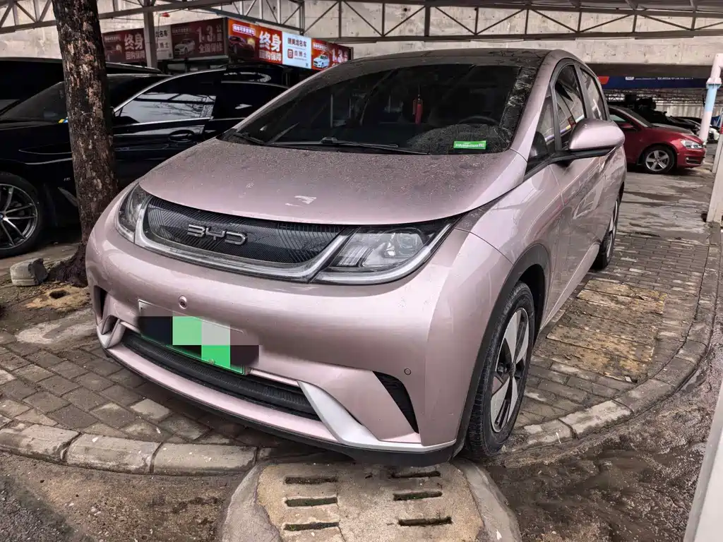 Byd Dolphin 2023